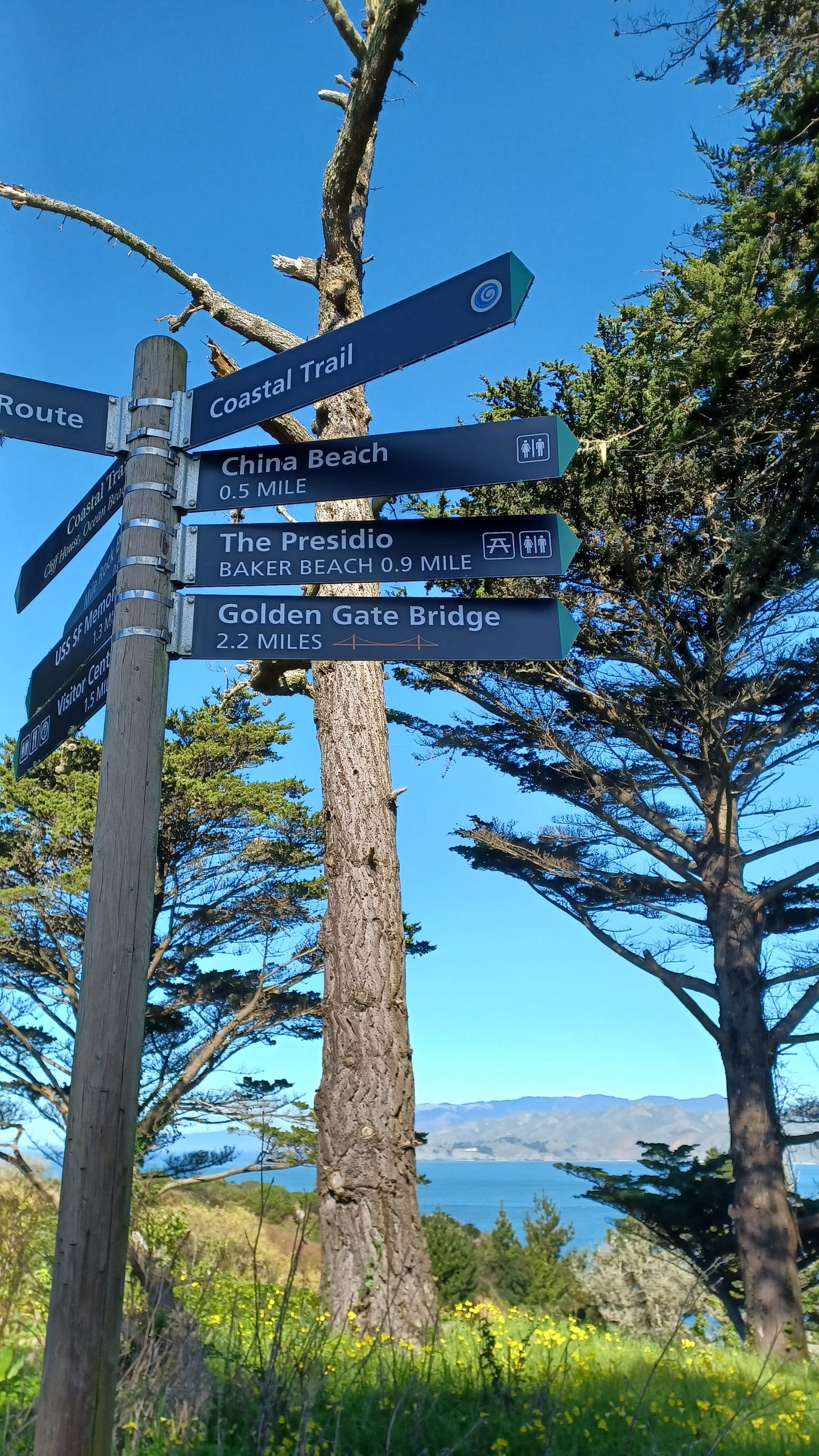 A week-long guide to San Francisco