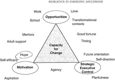 Emerging Adulthood as a Critical Stage in the Life Course | SpringerLink