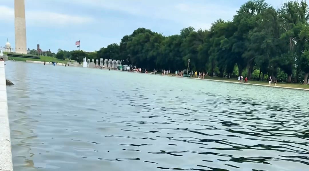 Peeling blue sealant off Lincoln Reflecting Pool