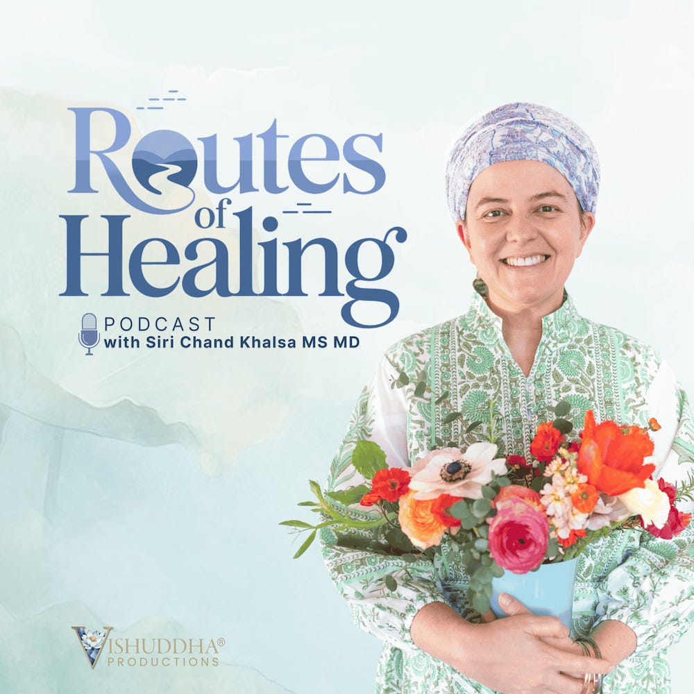 Routes of Healing | Wholeness in Integrative Medicine 