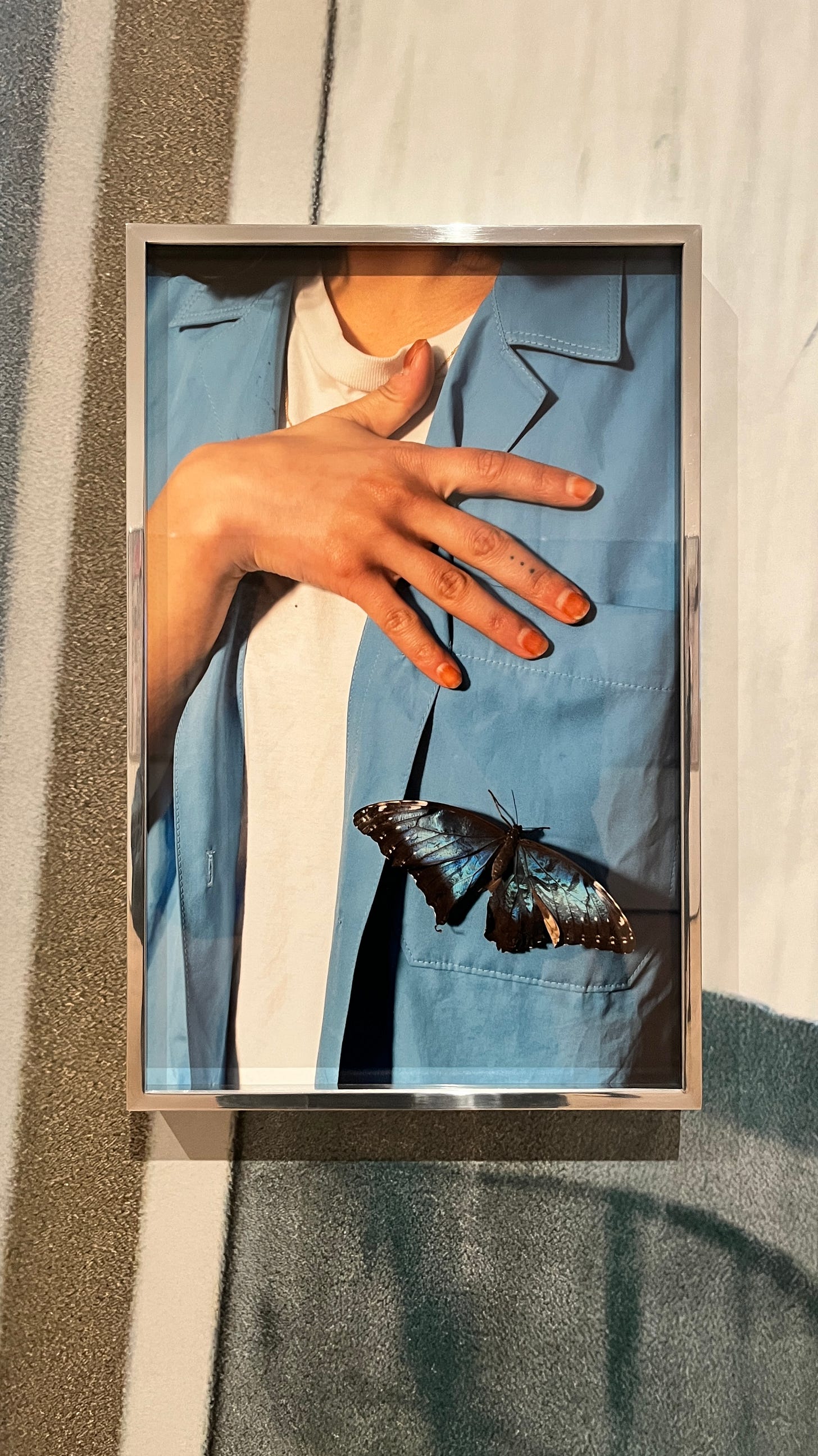 A figure holds a hand at their chest, while a large blue and black butterfly lands near their pocket.