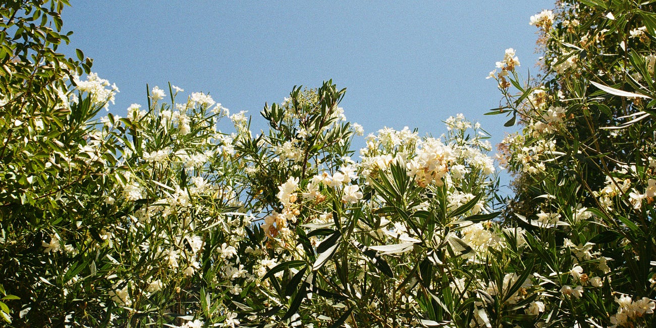 Letter from the Editor