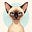 CatGirl7's avatar