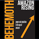 Amazon Rising