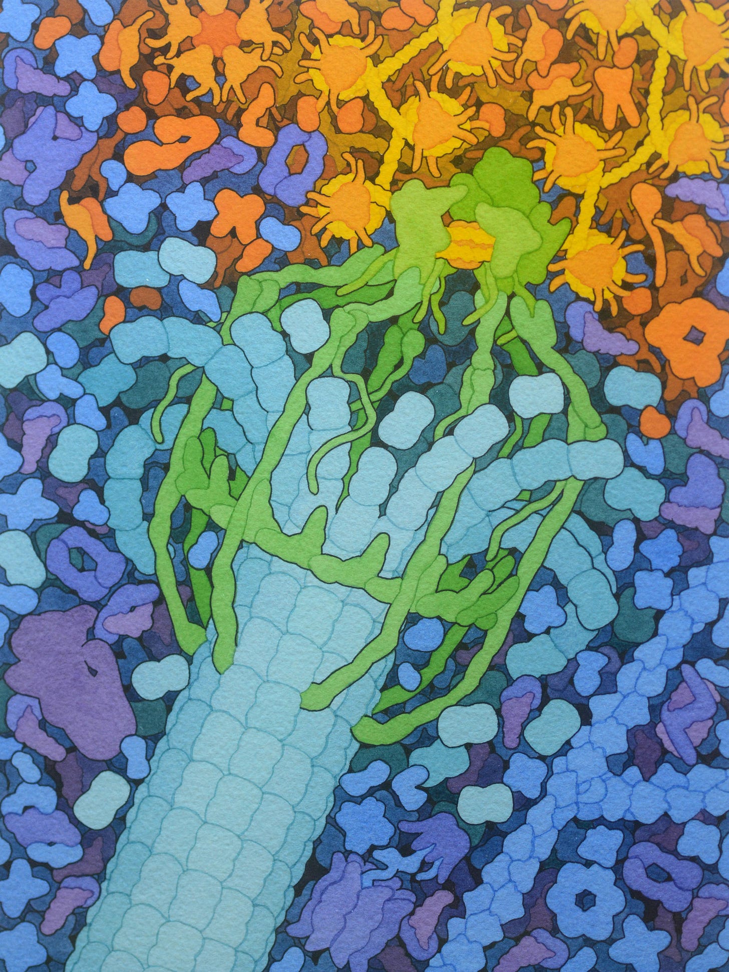A yeast kinetochore (green) is depicted attaching to a disassembling microtubule as it drags chromatin (orange) during cell division.