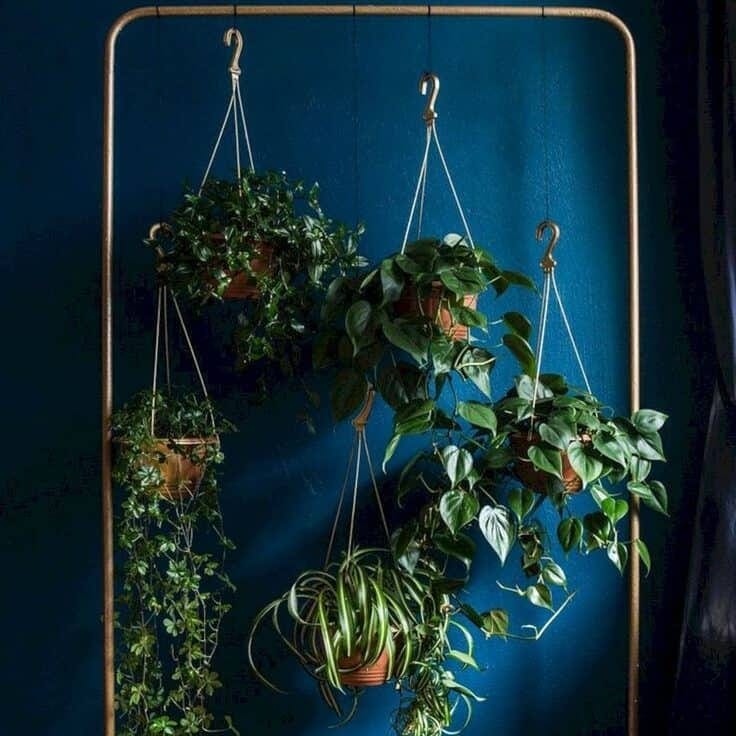 Plants that are hanging from a brass rail in low light.