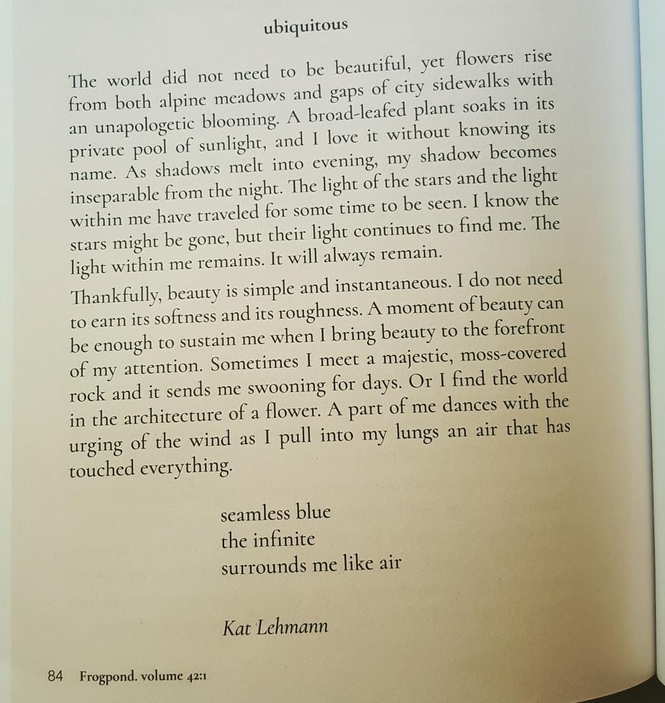 Twitter 上的 Kat Lehmann 🦎："I'm thrilled to have a haibun in the latest  issue of Frogpond, which is one of the most prestigious haiku journals in  the world. #Haibun is a hybrid
