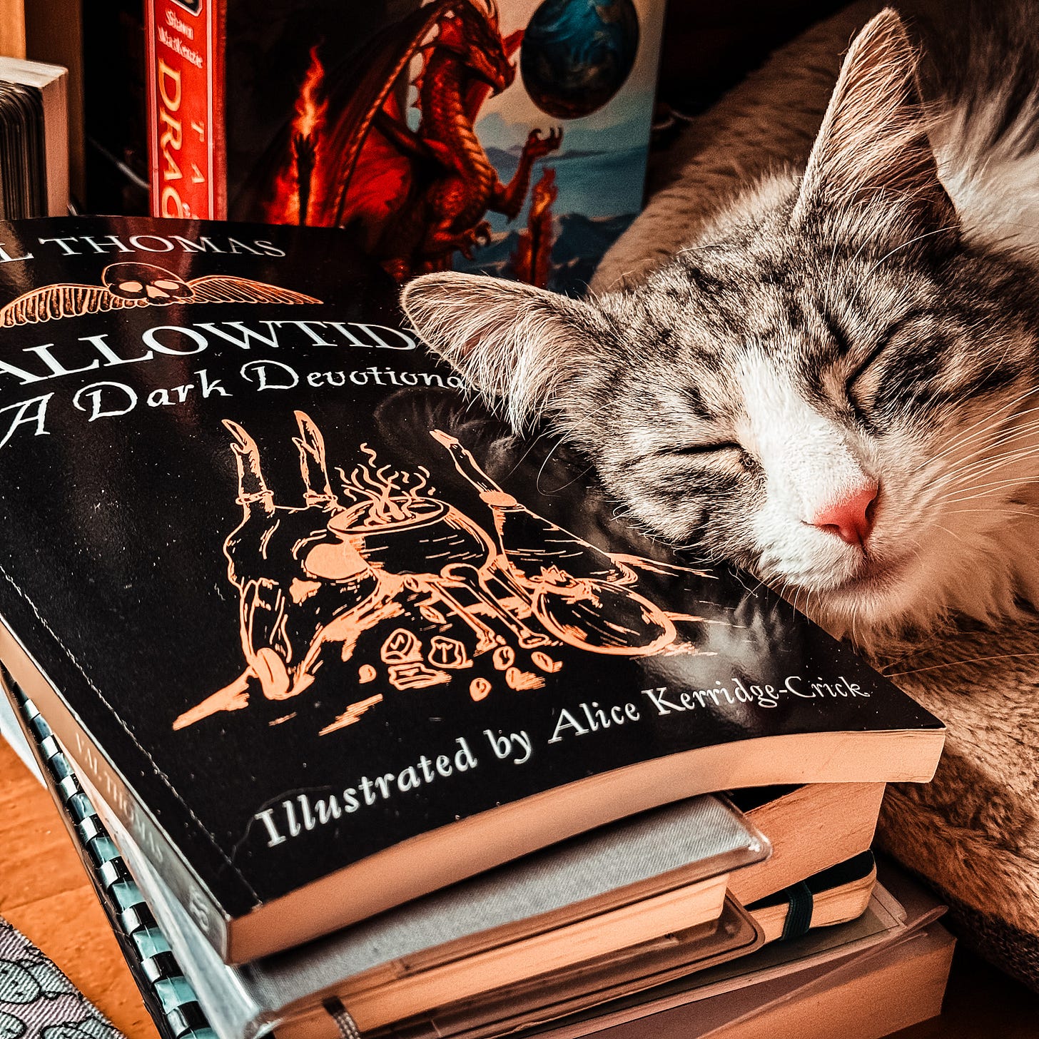 A sleeping silver-and-white kitten rests her head on Hallowtide: A Dark Devotional by Val Thomas. The book has a black cover with orange linoprint art of a deer skull, bubbling cauldron, and potion bottles.