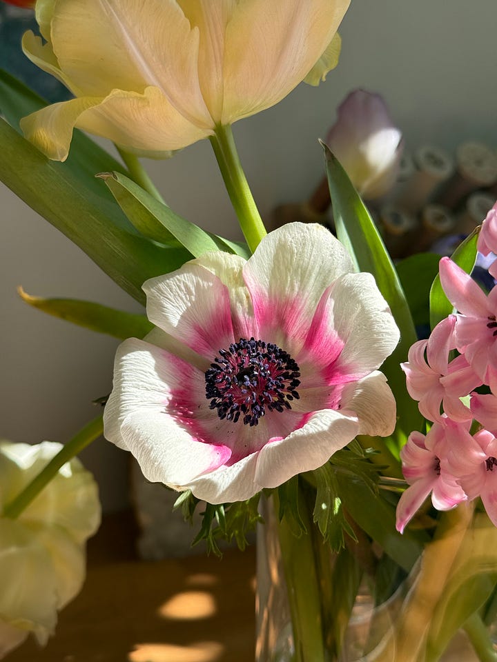 On the left, A close-up photograph of a delicate anemone flower with white petals and a vibrant pink center with a dark purple-black middle. The flower is accompanied by smaller pink blossoms, possibly sweet peas or similar flowers, arranged in a bouquet with green stems visible. On the right, A layered matcha drink in a clear glass with ice, showing a gradient from white at the bottom to bright green at the top. The glass sits on a round coaster on a wooden desk surface, with part of a laptop keyboard visible in the background.