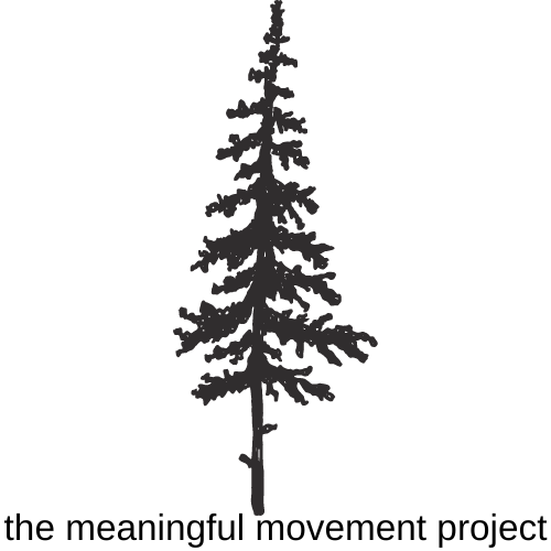 The Meaningful Movement Project