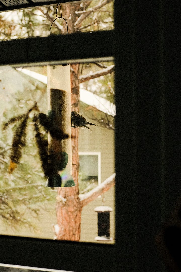 February Fuji Journal by Tyler Knott Gregson