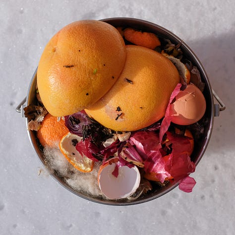A celebration of color, texture and shape