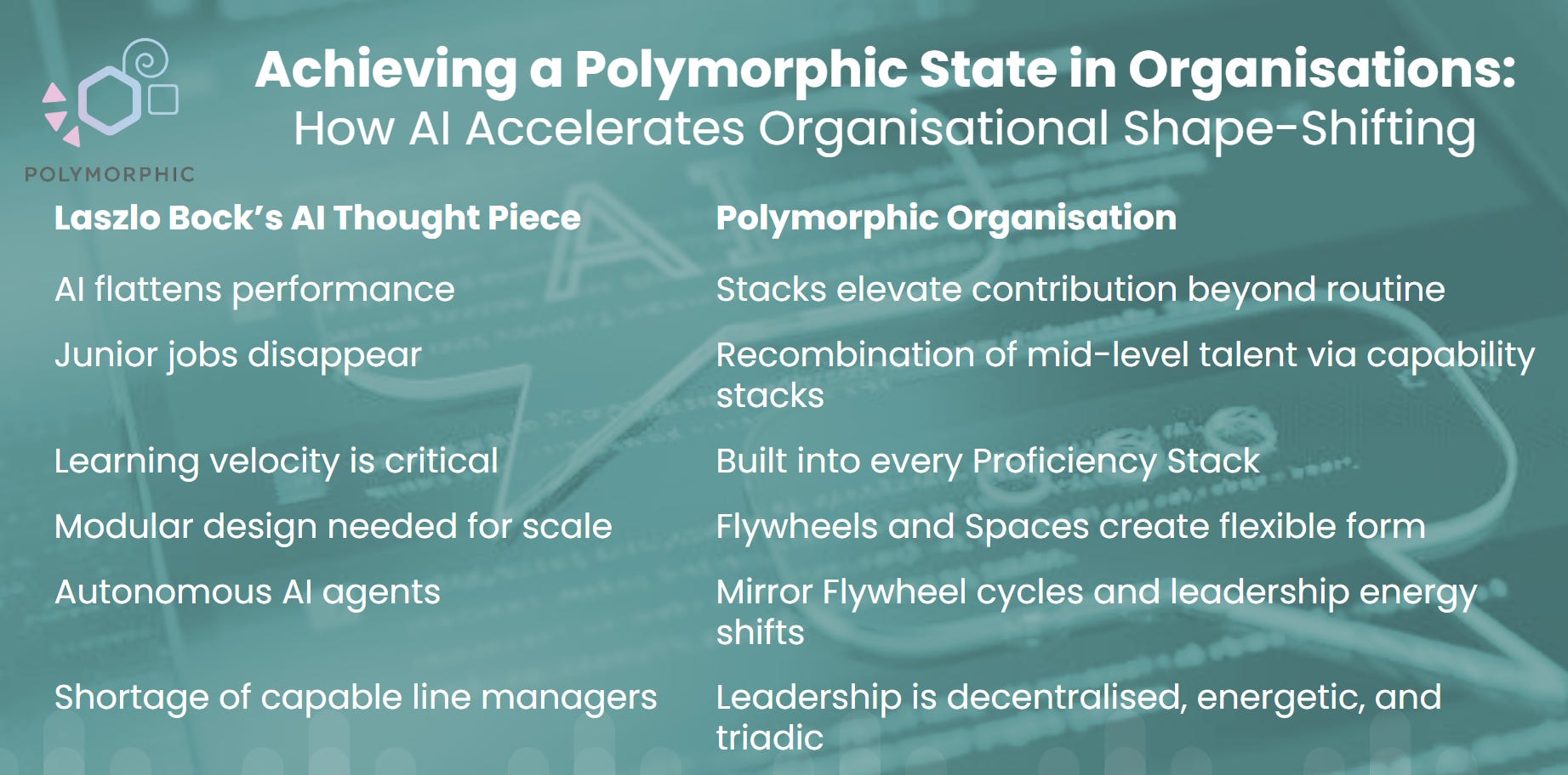 Polymorphic Organisations - Part II - by Perry Timms