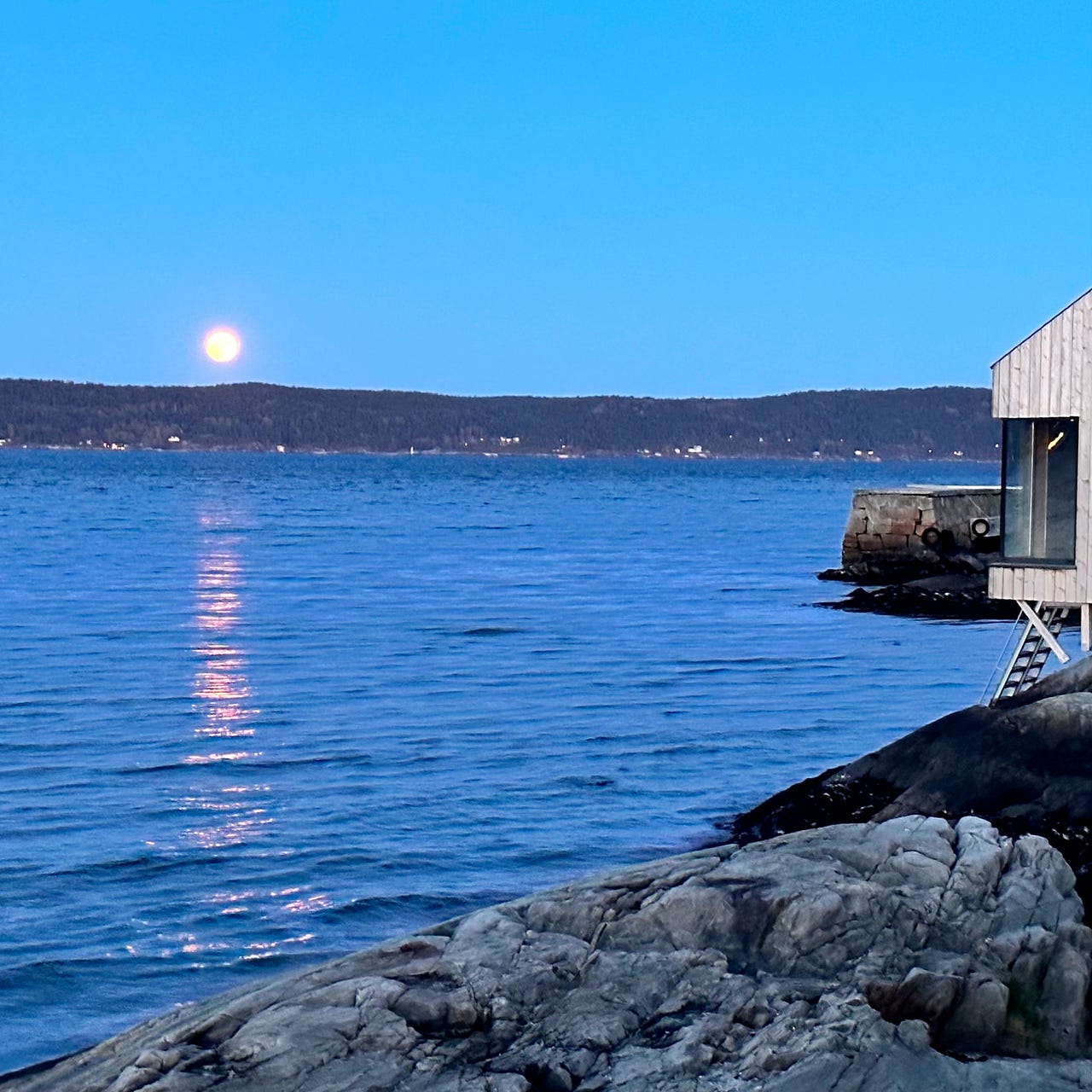 Mud and Starlight - Sarah writes, reads and walks