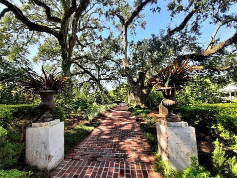 Scenes from the gardens and yard of the Houmas House including a pond sculpture of a crane, the pillars of the front porch with a peacock, and large old live oak trees.