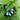 AKay's avatar