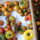 From capitalist food systems to degrowth agrarian futures