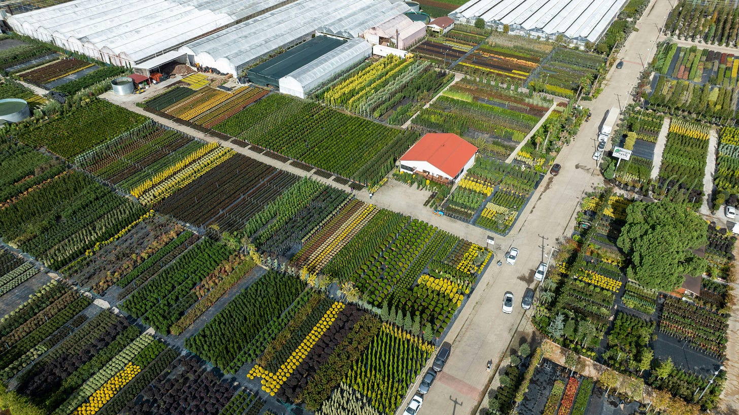 Das KI-Rechenzentrum, das die Nachbarn behalten wollen: Abwärme für Gewächshäuser