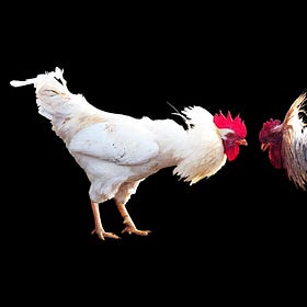 Studios, Strikers and a Tense Game of Chicken 