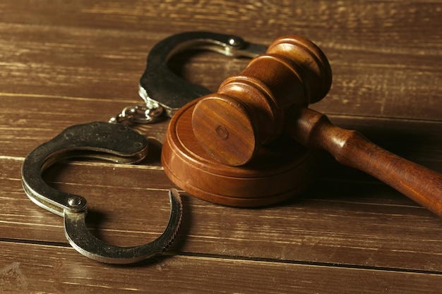 5 Suspects in R113 Million Mpumalanga Education Department Fraud Get Bail
