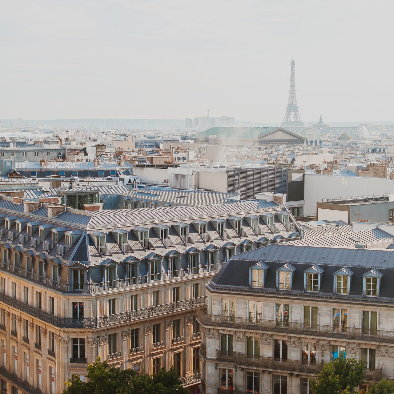 Over the Roofs of Paris