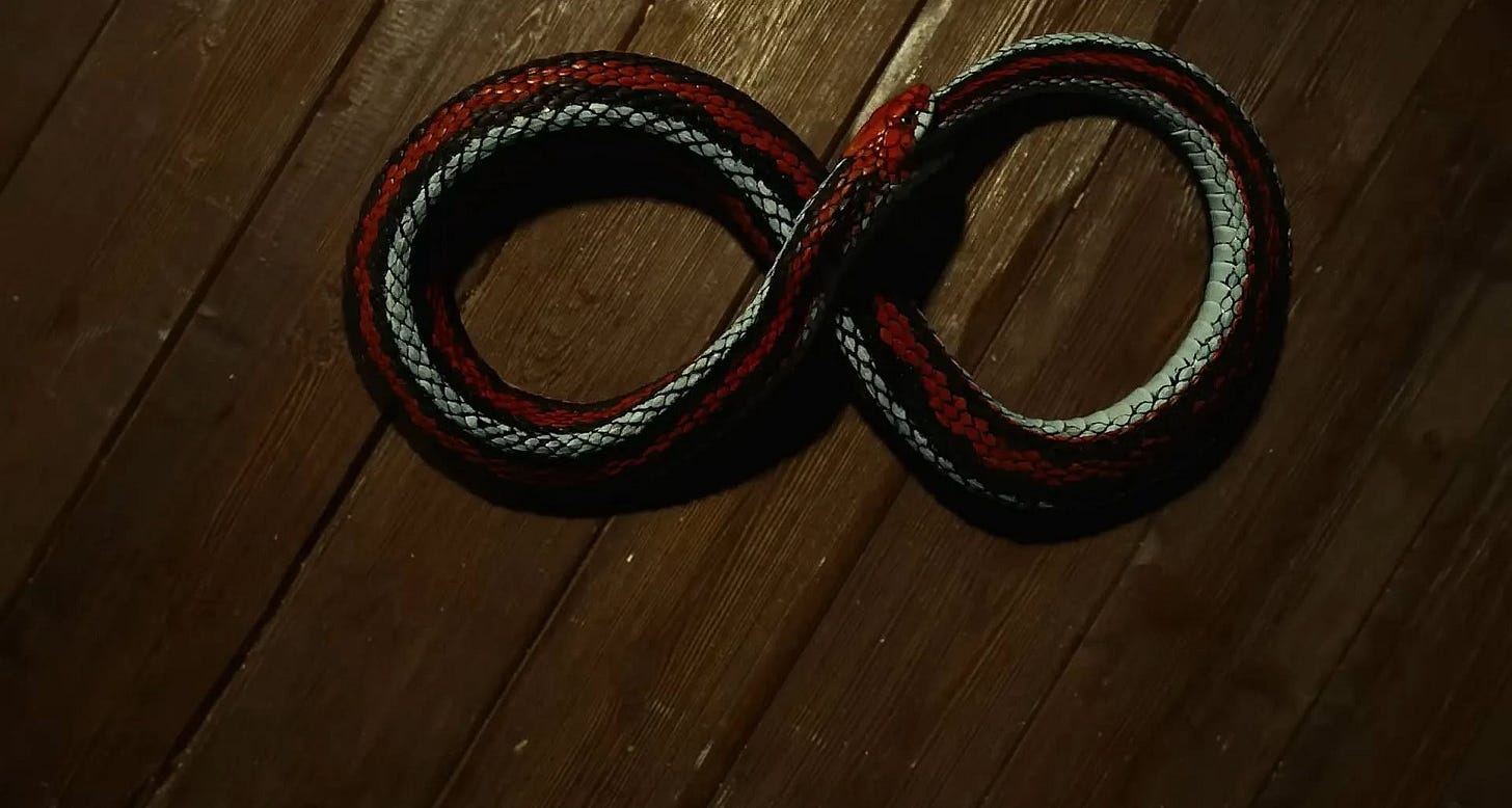 Photo by DiscussingFilm on January 14, 2025. Pode ser uma imagem de cobra, cobra-coral e texto.