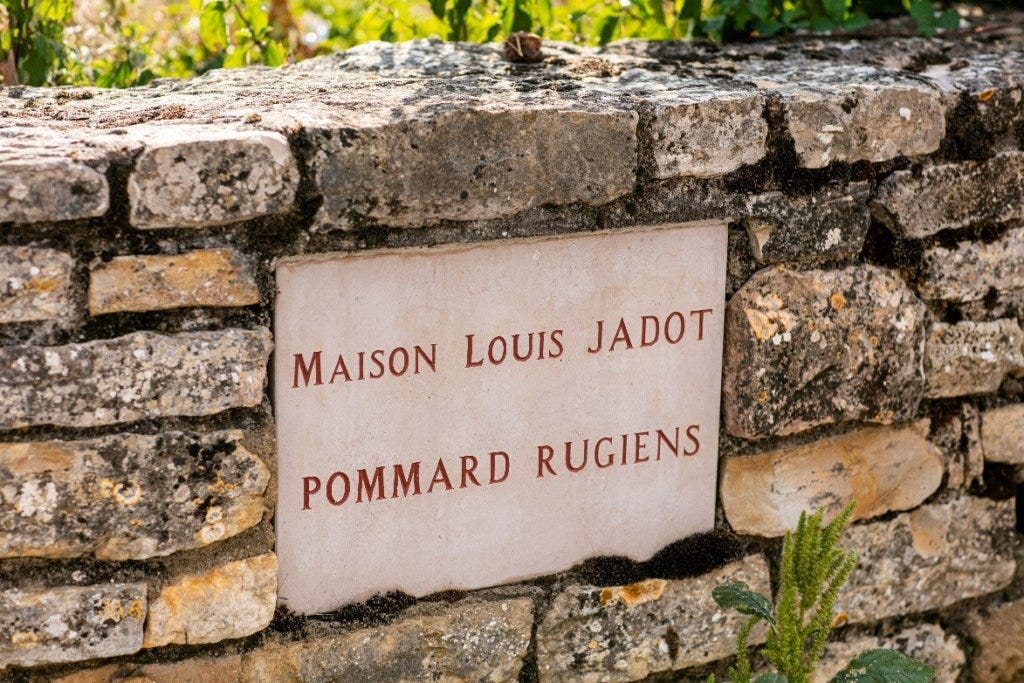 Louis Jadot launches training and support package with The Drinks Trust for Independent Wine Merchants - Hatch Mansfield Louis Jadot launches training and support package with The Drinks Trust for Independent Wine Merchants - Hatch Mansfield