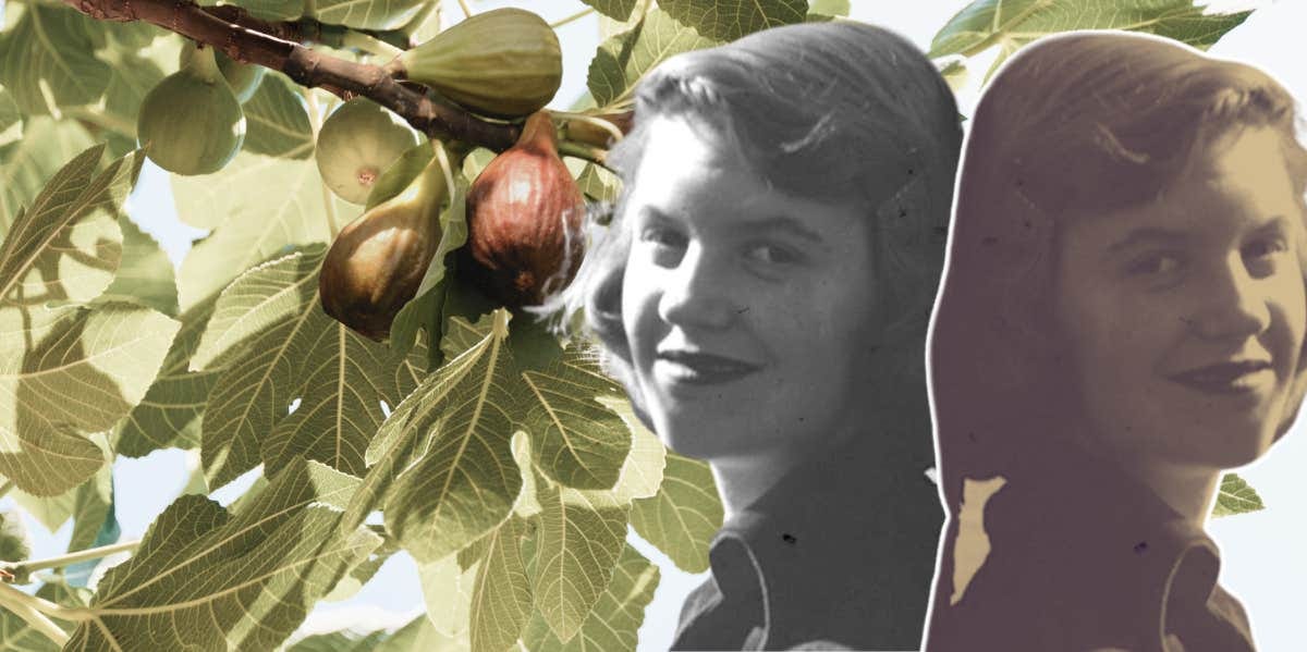 How Sylvia Plath's The Fig Tree Changed My Entire Perspective On Life |  YourTango