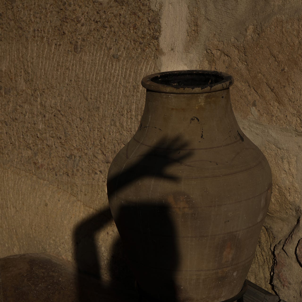 Georgia’s Substack