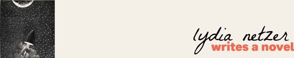 Lydia Netzer (Writes a Novel)