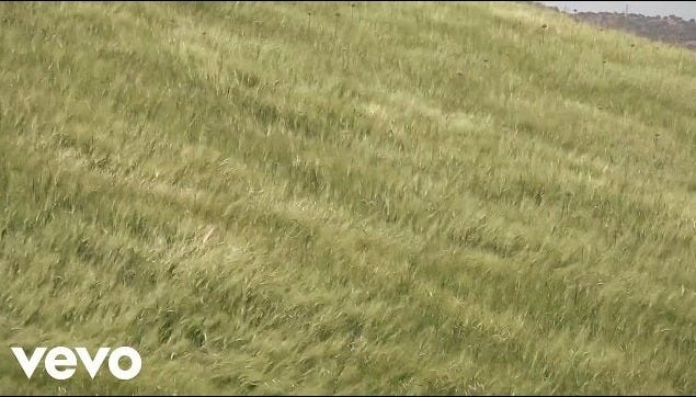 Frame del video della canzone Vince chi molla" di N. Fabi. Prato in pendenza.