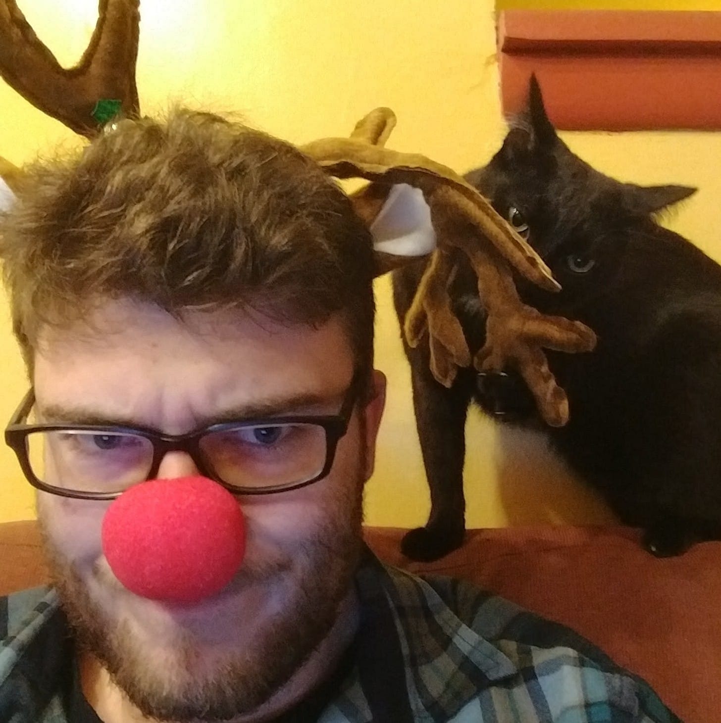 A picture of me wearing reindeer antlers and a big red nose, with a cat chewing on the antlers.