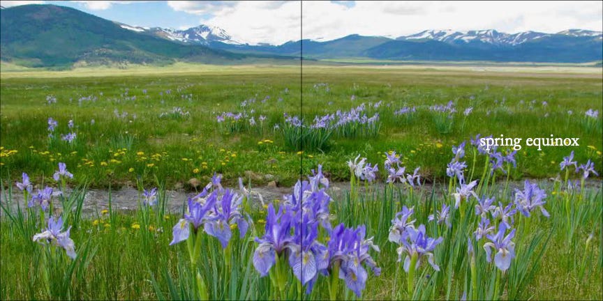 Spring two-page spread from Earthbound, a luscious image of Rocky Mountain Irises blooming in the communal grazing lands of San Luis in southern Colorado. photo: Susan J. Tweit, book design: Jennifer Barry Spring two-page spread from Earthbound, a luscious image of Rocky Mountain Irises blooming in the communal grazing lands of San Luis in southern Colorado. photo: Susan J. Tweit, book design: Jennifer Barry