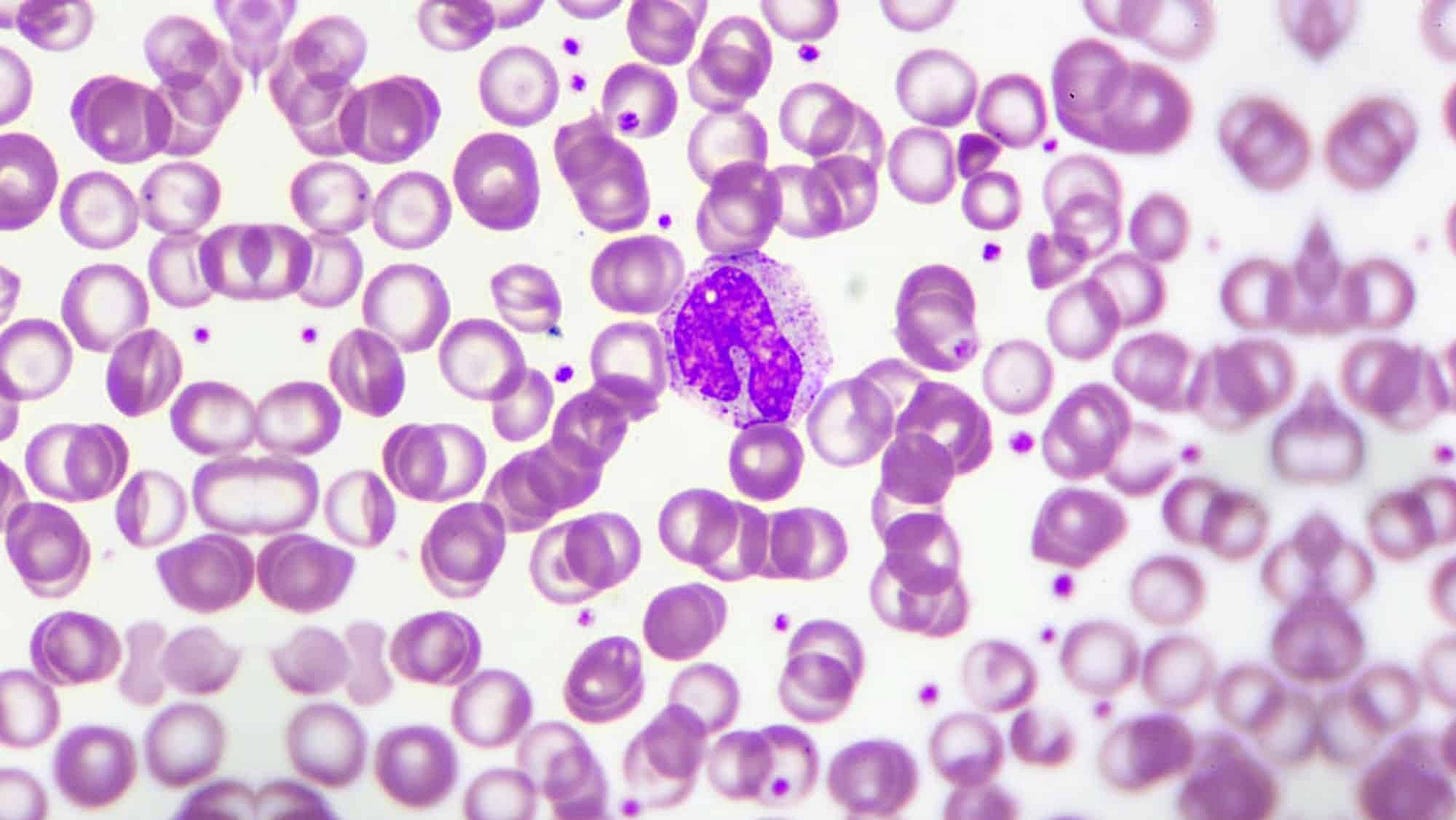 CD14+ Monocytes: Cell Biology and Research Applications