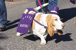 A – Parade 1 A – Parade 1