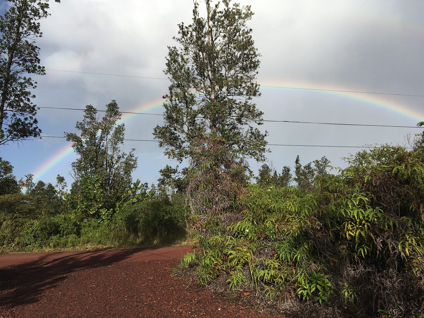 Full rainbow among Ohia Trees on the Big Island of Hawaii, taken by author