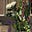 nour's avatar