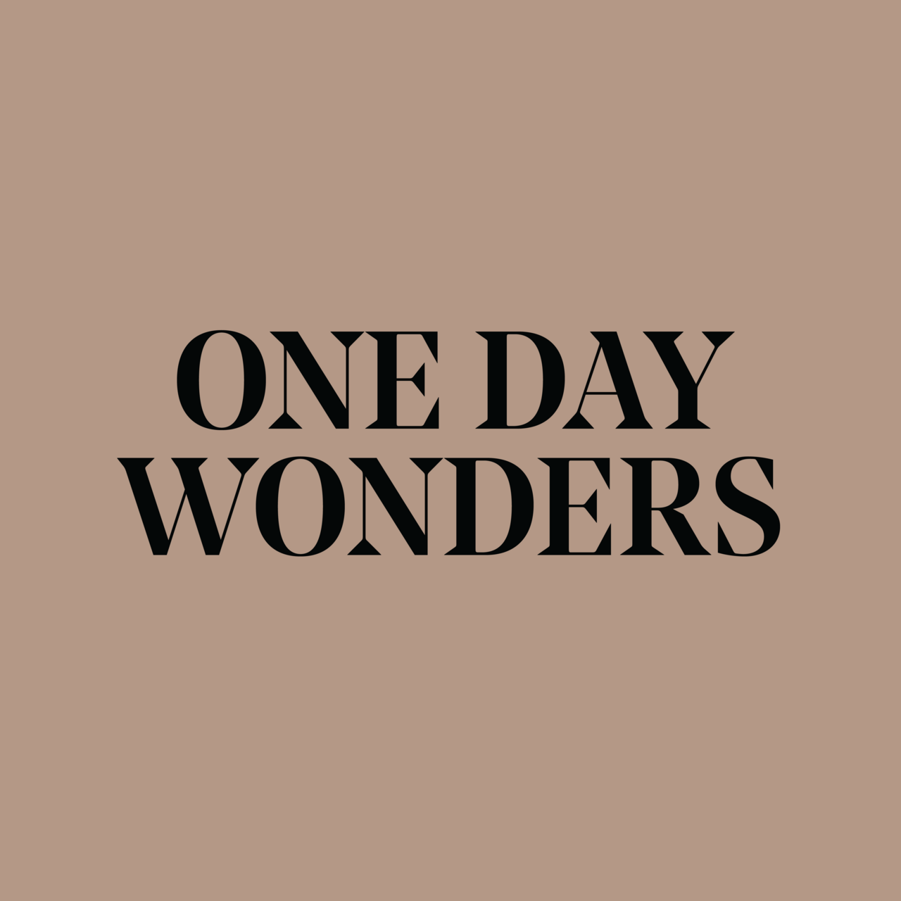 One Day Wonders by Noor Fares