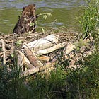 Labor Dept. Wants To Imprison Employees For Telling Press How Badly Things Are Going