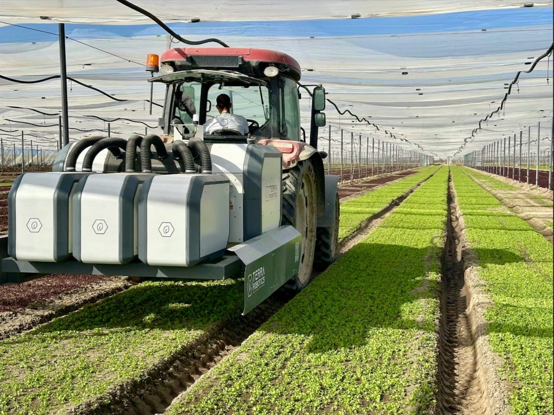 Tractor equipped with Terra Robotics machinery drives through a large greenhouse over rows of young leafy crops, with a translucent canopy overhead and a person seated in the cab.