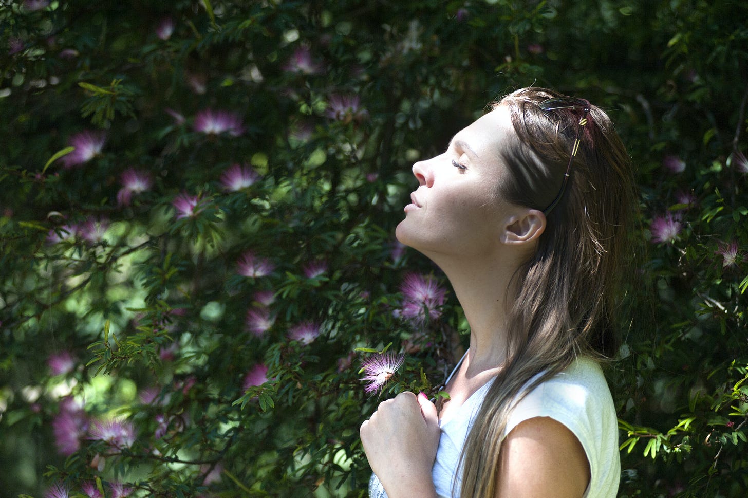 /woman-closing-her-eyes-against-sun-light-standing-near-purple-petaled-flower-plant /woman-closing-her-eyes-against-sun-light-standing-near-purple-petaled-flower-plant