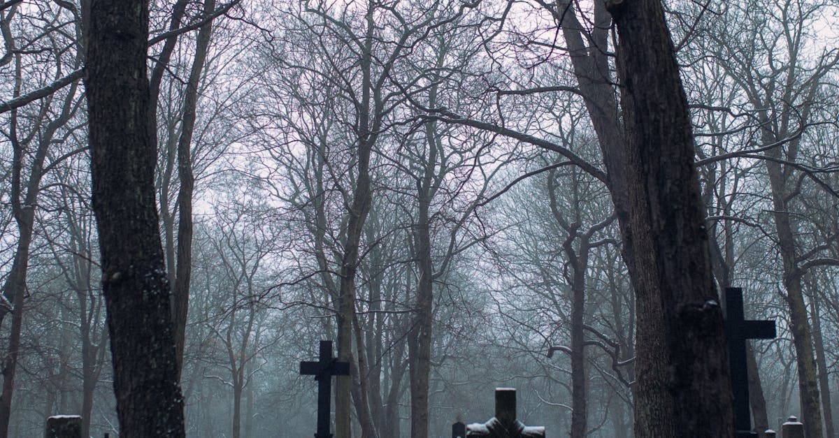 Gloomy Weather Over the Graveyard with Bare Trees · Free Stock Photo Gloomy Weather Over the Graveyard with Bare Trees · Free Stock Photo