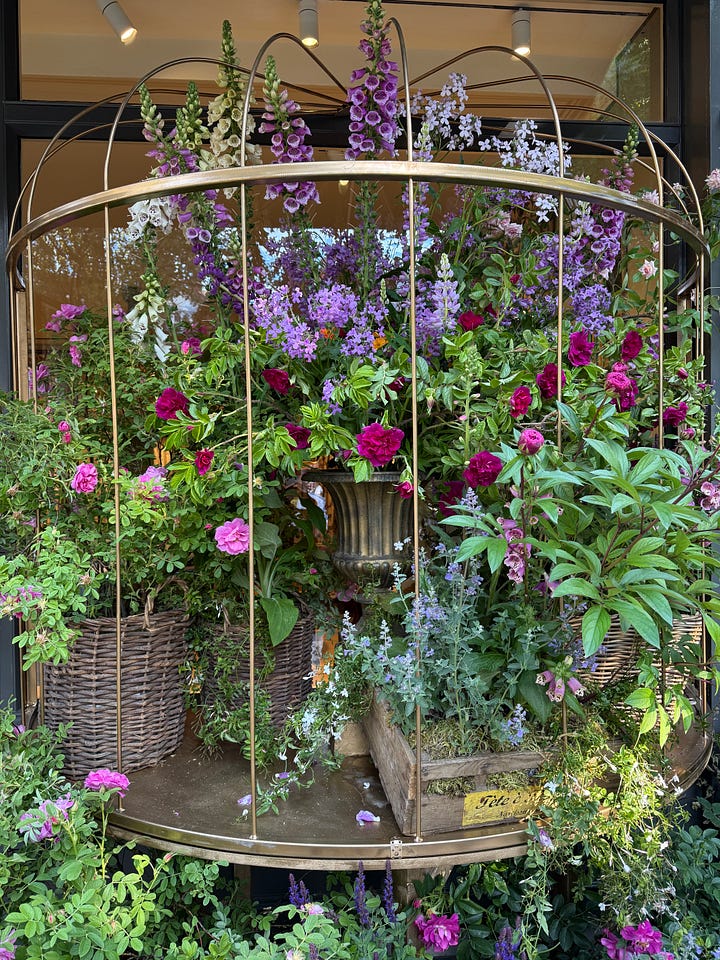 RHS Chelsea Flower Show Guide - The A-List by Aziza Lyons