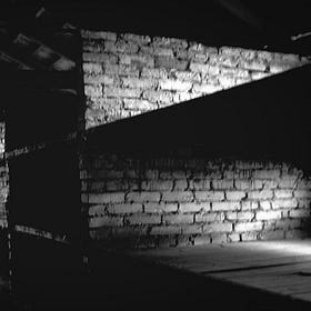 What Shall I Sing to You? Krishna Das on Bearing Witness in Auschwitz 
