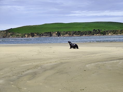 Pics from around Te Waipounamu the South Island