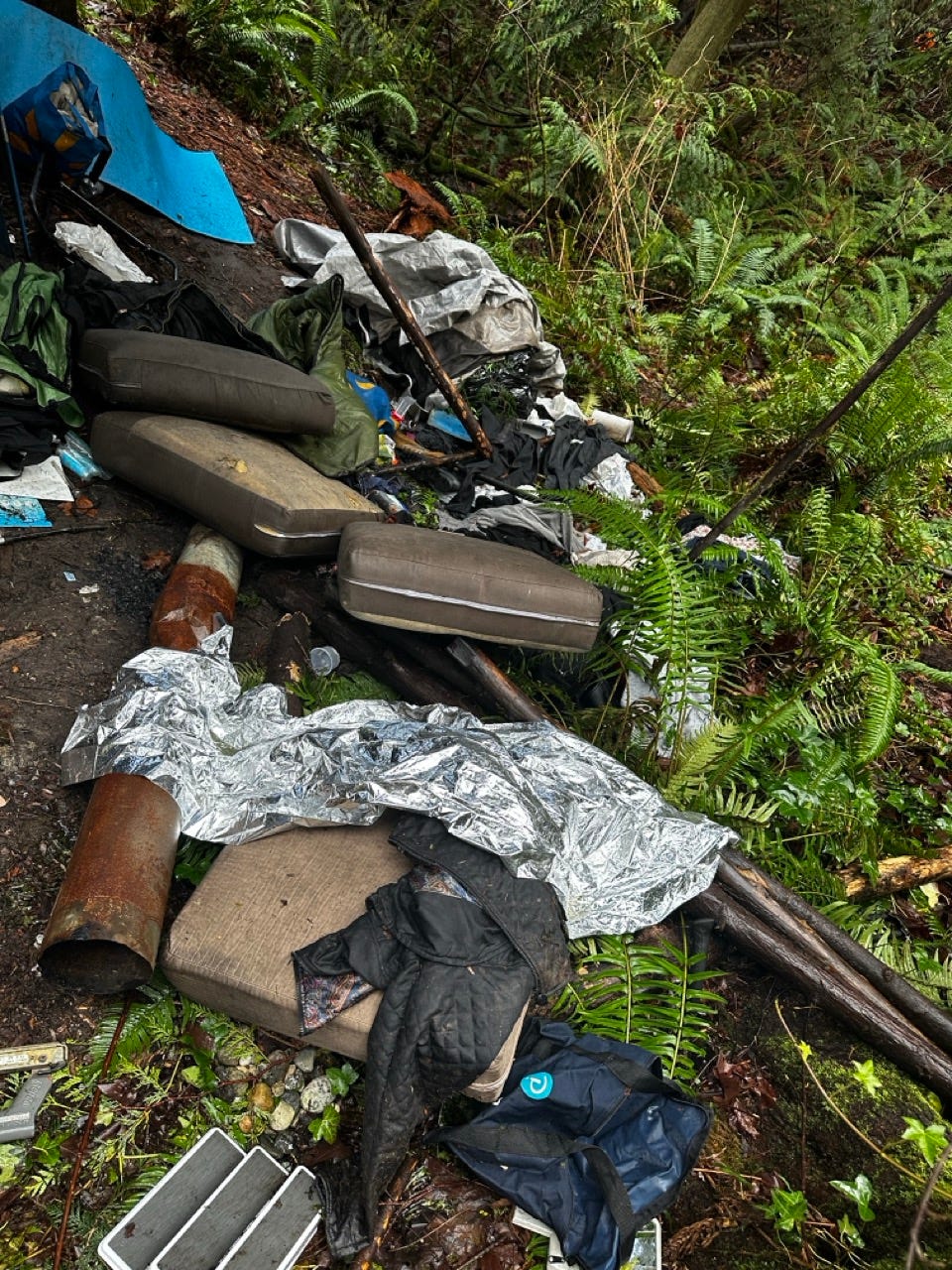 A pile of trash in the woods

Description automatically generated