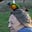 Carolyn Usher's avatar
