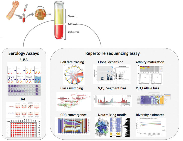 Image result for distributed bio superhuman