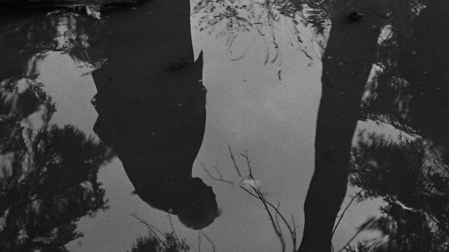 Wild Strawberries (1957) - Movie Review : Alternate Ending