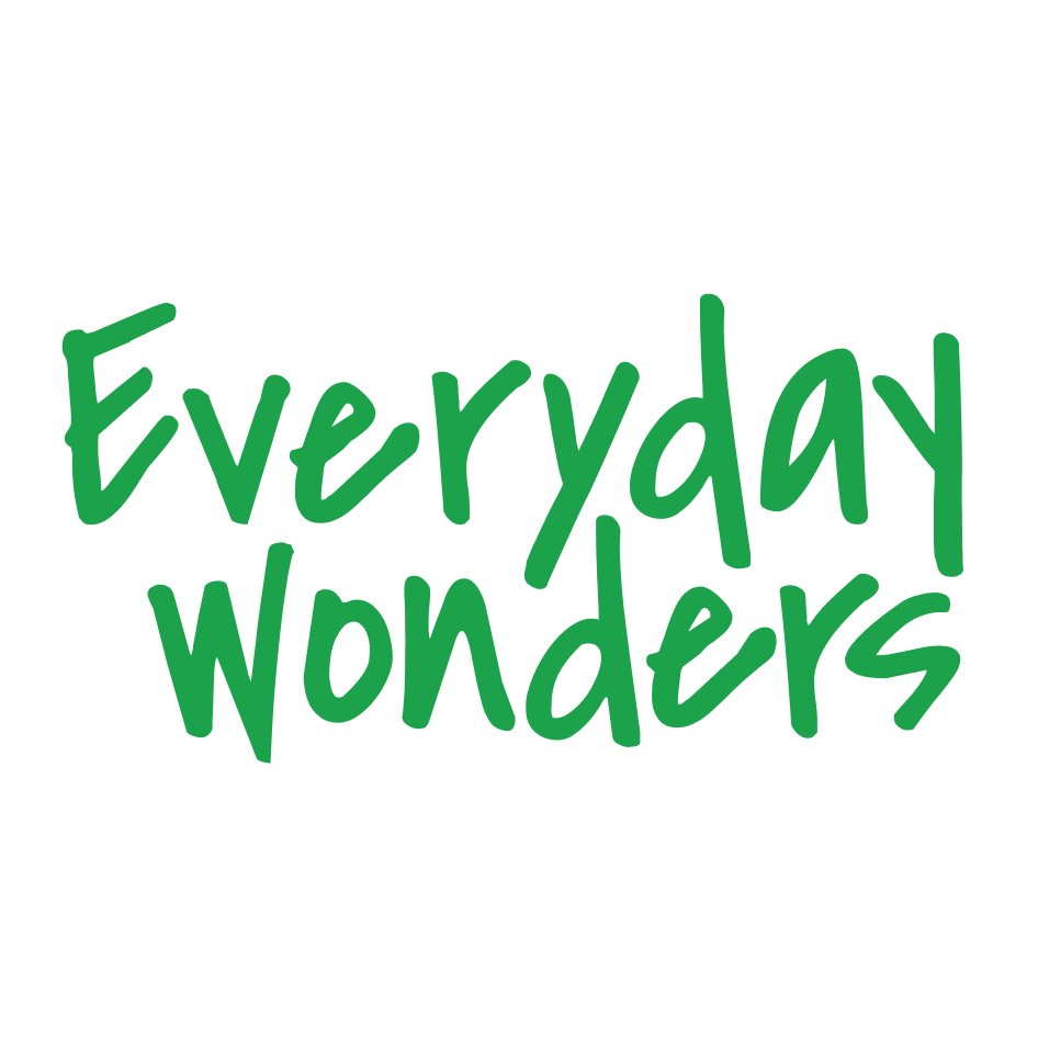 Everyday Wonders by Miri Nissi